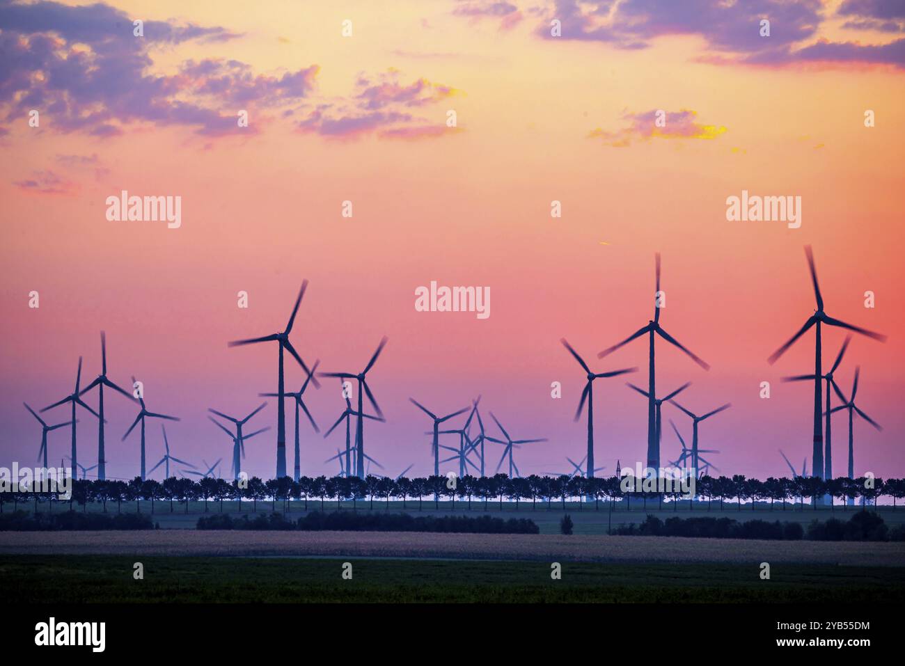 Alba al parco eolico di Marzahna, alba. Marzahna, Treuenbrietzen, Brandeburgo, Germania, Europa Foto Stock