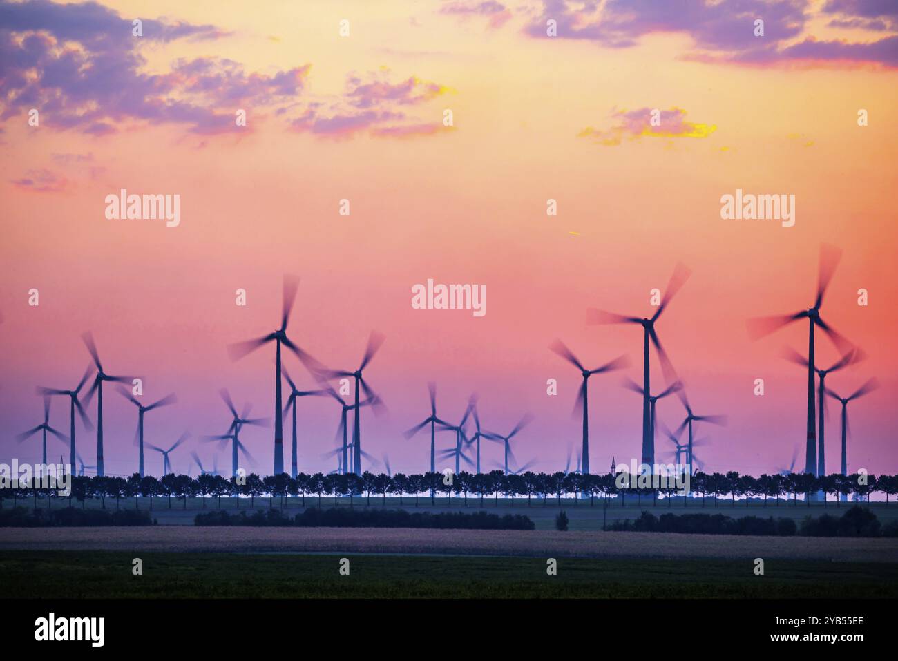 Alba al parco eolico di Marzahna, alba. Marzahna, Treuenbrietzen, Brandeburgo, Germania, Europa Foto Stock