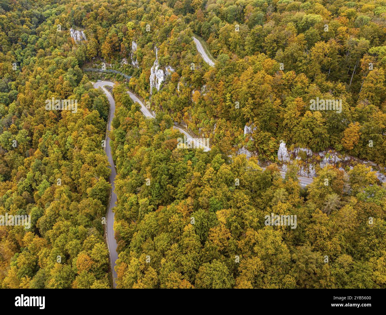 Albe sveva in autunno, Albtrauf con una foresta mista colorata e una strada di campagna tortuosa. Bad Urach, Baden-Wuerttemberg, Germania, Europa Foto Stock