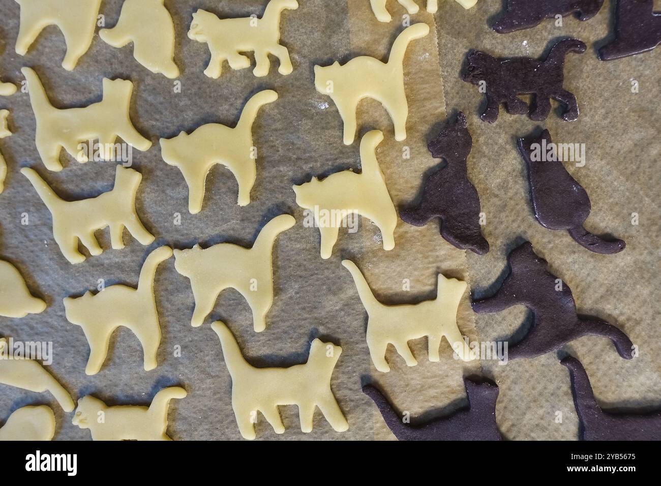 Cucina sveva, biscotti di Natale svevi, preparazione di Ausstecherle, biscotti frolla, figure di gatto, pezzi di impasto crudi con cacao e bianco su b. Foto Stock