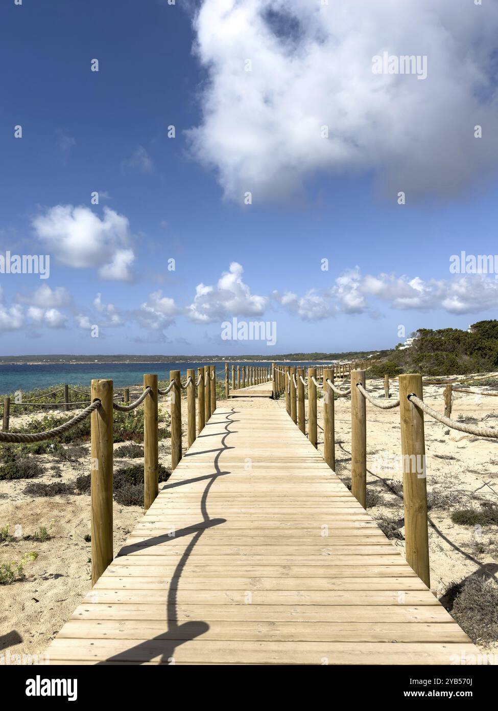Sentiero sulla spiaggia di Platja es Arenals, Playa Migjorn, Formentera, Isole Baleari, Spagna, Europa Foto Stock