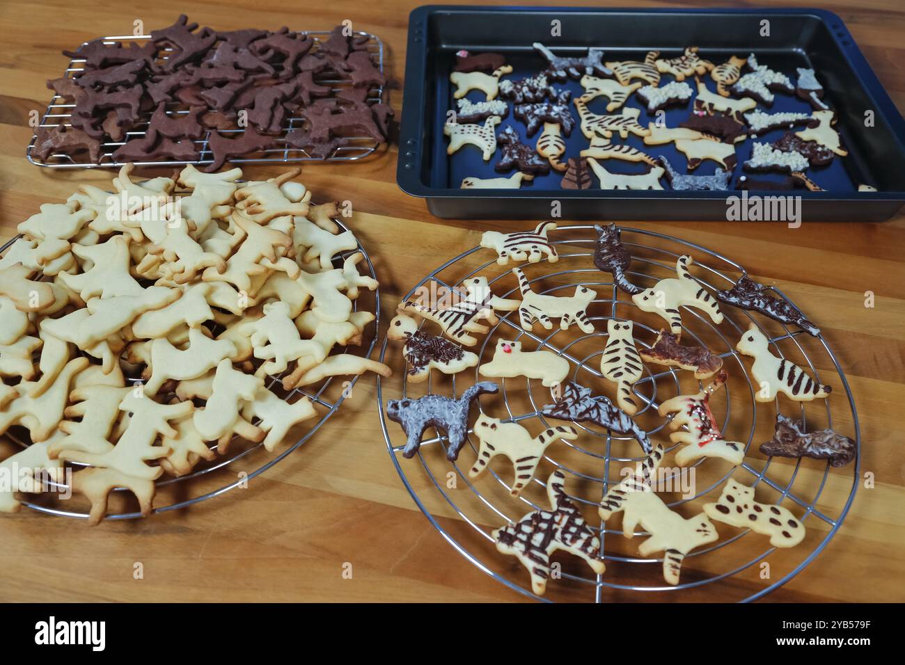 Cucina sveva, biscotti di Natale svevi, taglierine per biscotti, biscotti di frolla, figure di gatto, dipinto con cioccolato, tipico svevo, cottura, Cristo Foto Stock