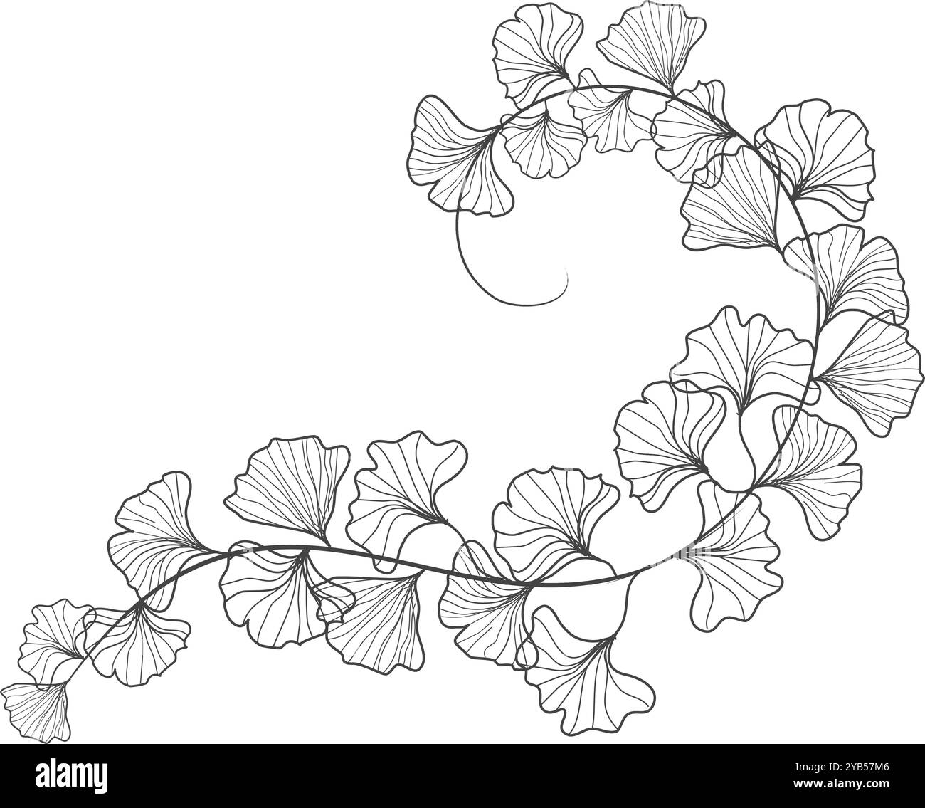 Sfondo con cornice d'arte floreale foglie di ginkgo naturale per l'illustrazione della cornice per il matrimonio ornamentale Illustrazione Vettoriale