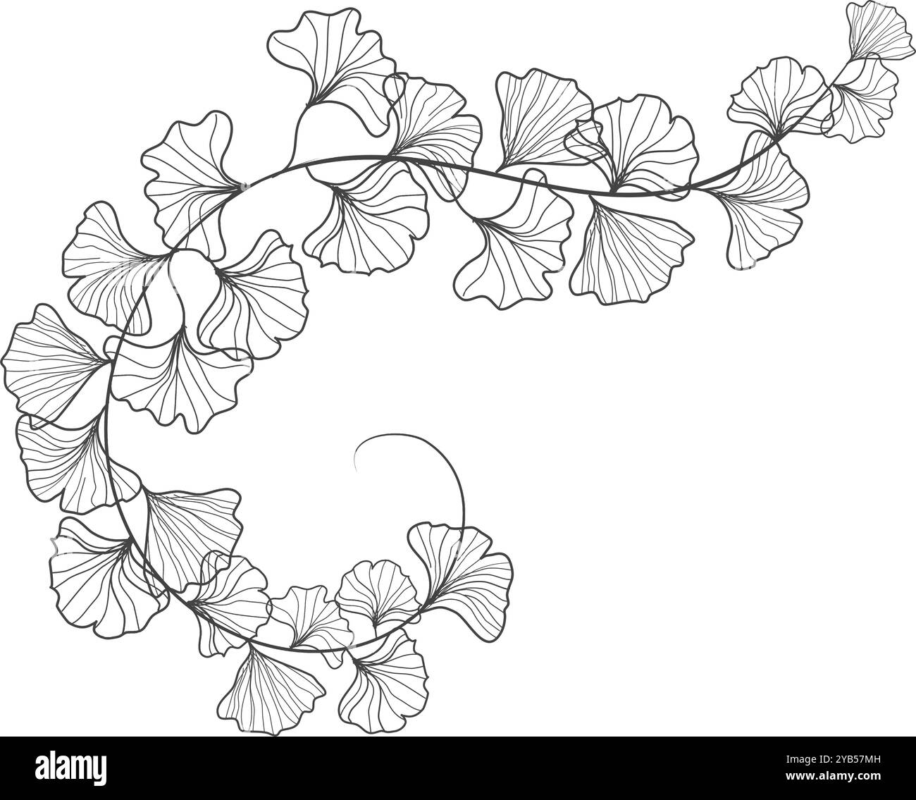 Sfondo con cornice d'arte floreale foglie di ginkgo naturale per l'illustrazione della cornice per il matrimonio ornamentale Illustrazione Vettoriale