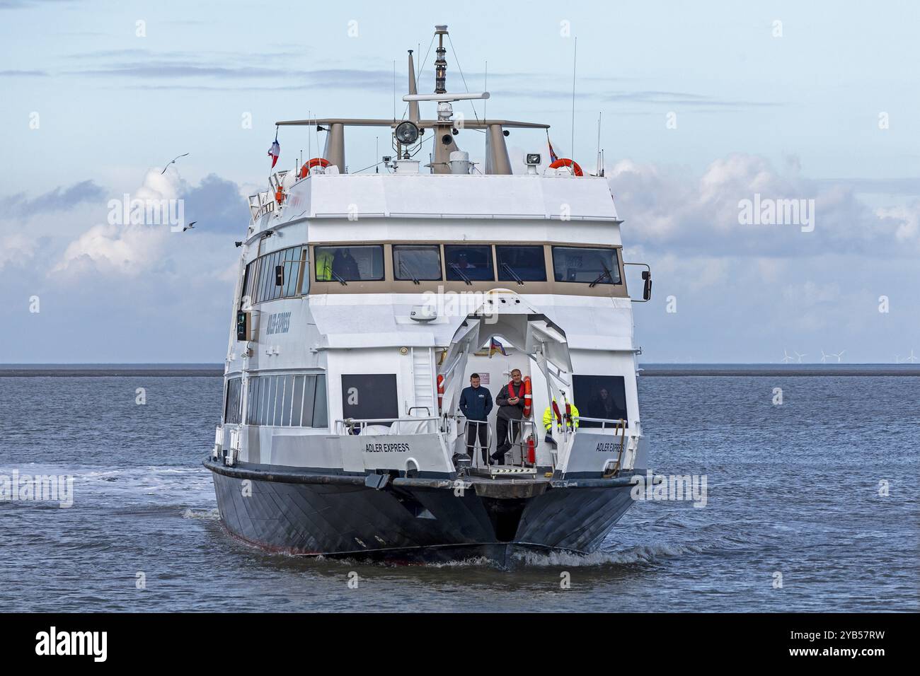 Barca per escursioni: Moli Adler Express, porto, Strucklahnungshoern, Nordstrand, Frisia settentrionale, Schleswig-Holstein, Germania, Europa Foto Stock