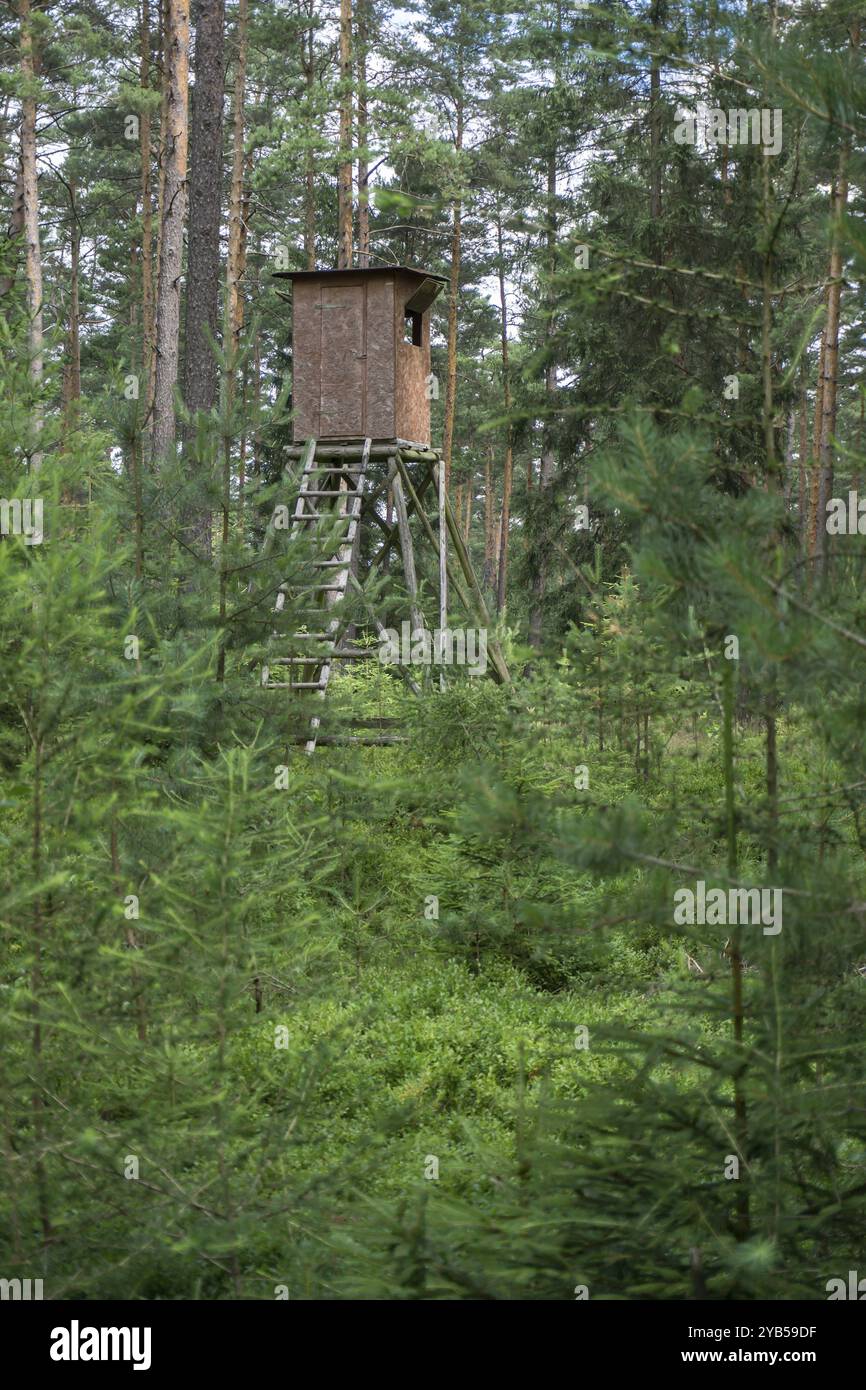 Jagdliche Einrichtung im Wald, centro di caccia nella foresta Foto Stock