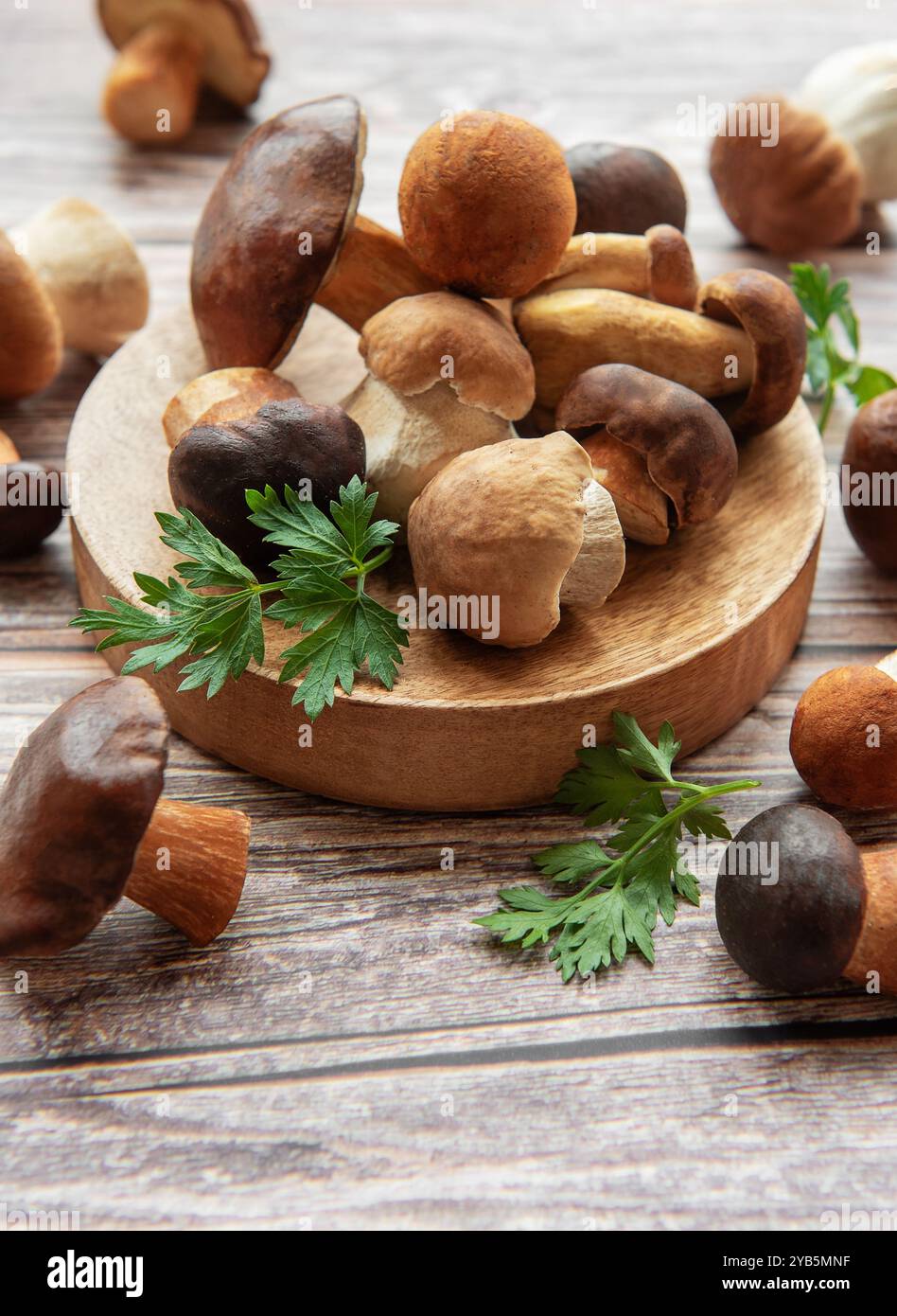 Una varietà di funghi freschi sono esposti artisticamente su un piatto di legno, circondati da rametti di erbe verdi in un accogliente ambiente di cucina. Foto Stock