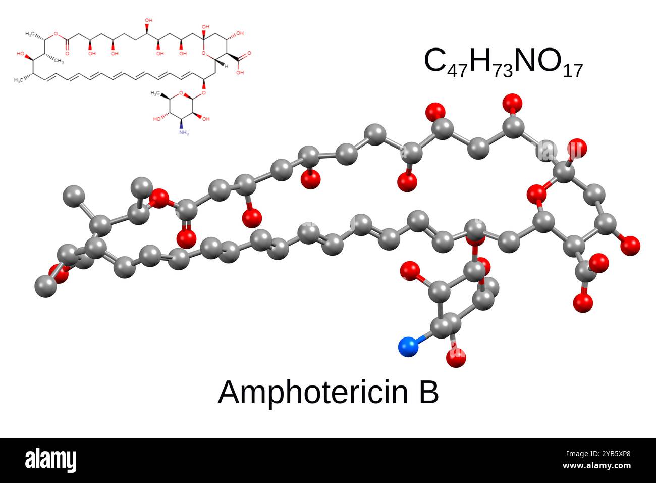 Formula chimica, formula strutturale e modello a sfera e bastone 3D dell'amfotericina B antifungina antifungina, sfondo bianco Foto Stock