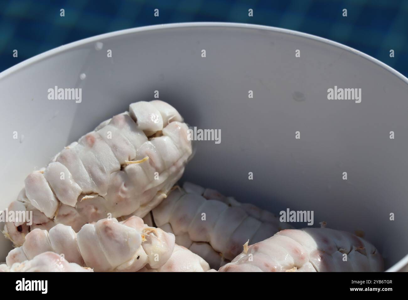 polpa di fagioli di cacao freschi su un piatto Foto Stock