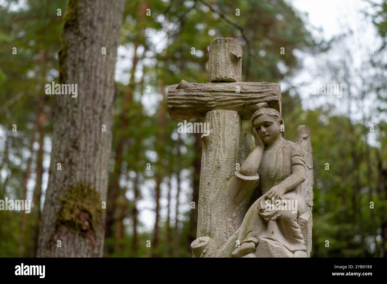 Antiche croci bianche e lapidi in un cimitero fatiscente a Roztocze, Polonia Foto Stock