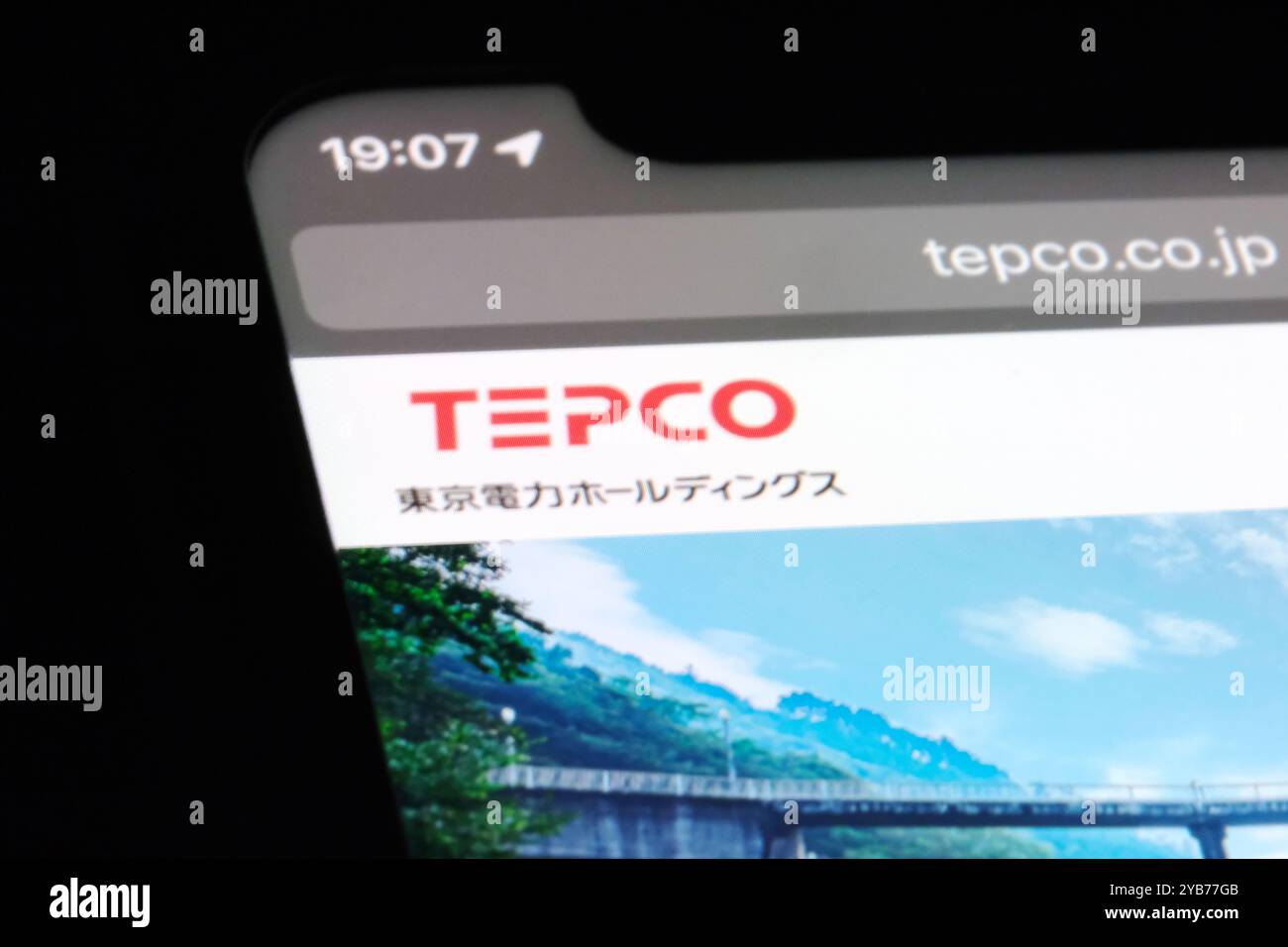Primo piano del logo del marchio TEPCO (Tokyo Electric Power Company) sul sito Web ufficiale Foto Stock