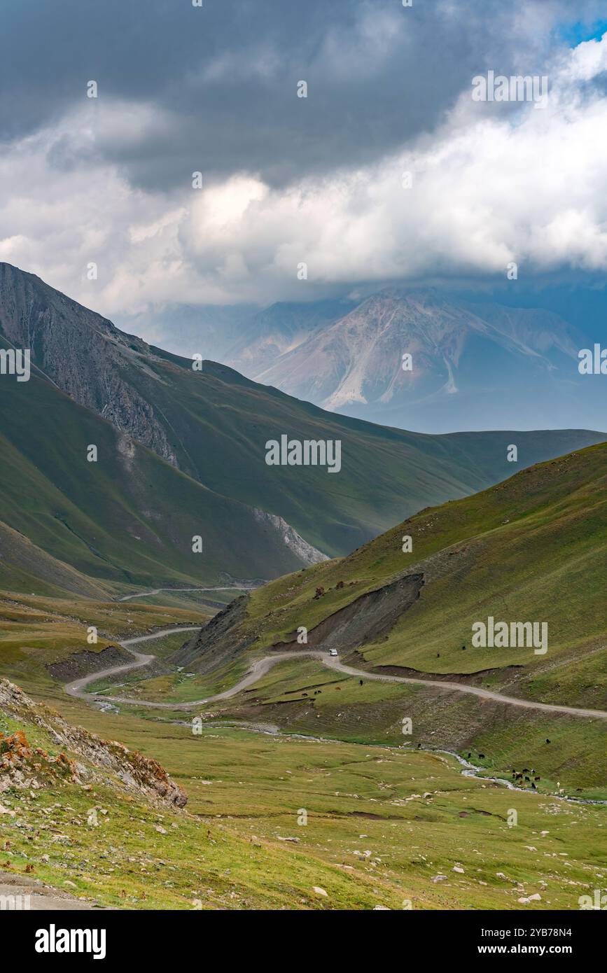 vista dall'alto della pericolosa strada di montagna a serpentina lungo la quale sta viaggiando l'auto. Animali da fattoria pascolano sulle pendici della montagna vicino alla strada Foto Stock