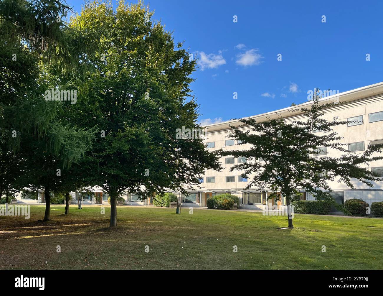 edifici dell'università dell'east anglia nel campus di norwich, norfolk, inghilterra Foto Stock edifici dell'università dell'east anglia nel campus di norwich, norfolk, inghilterra Foto Stock
