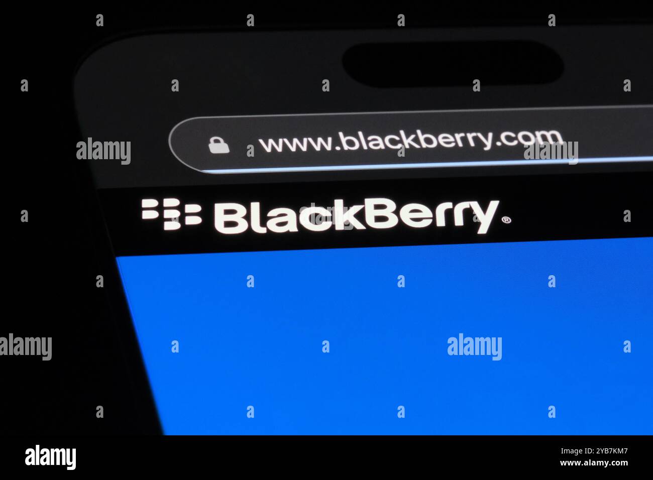 Logo del marchio aziendale BlackBerry sul sito Web Foto Stock