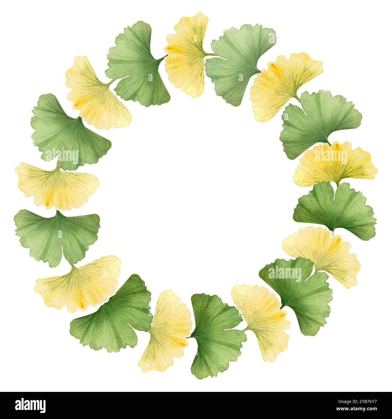 Ginkgo biloba, albero di maidenhair vibrante corona di foglie verdi e gialle. Cornice ad acquerello testurizzata di alta qualità, dipinta a mano, perfetta per le carte Foto Stock