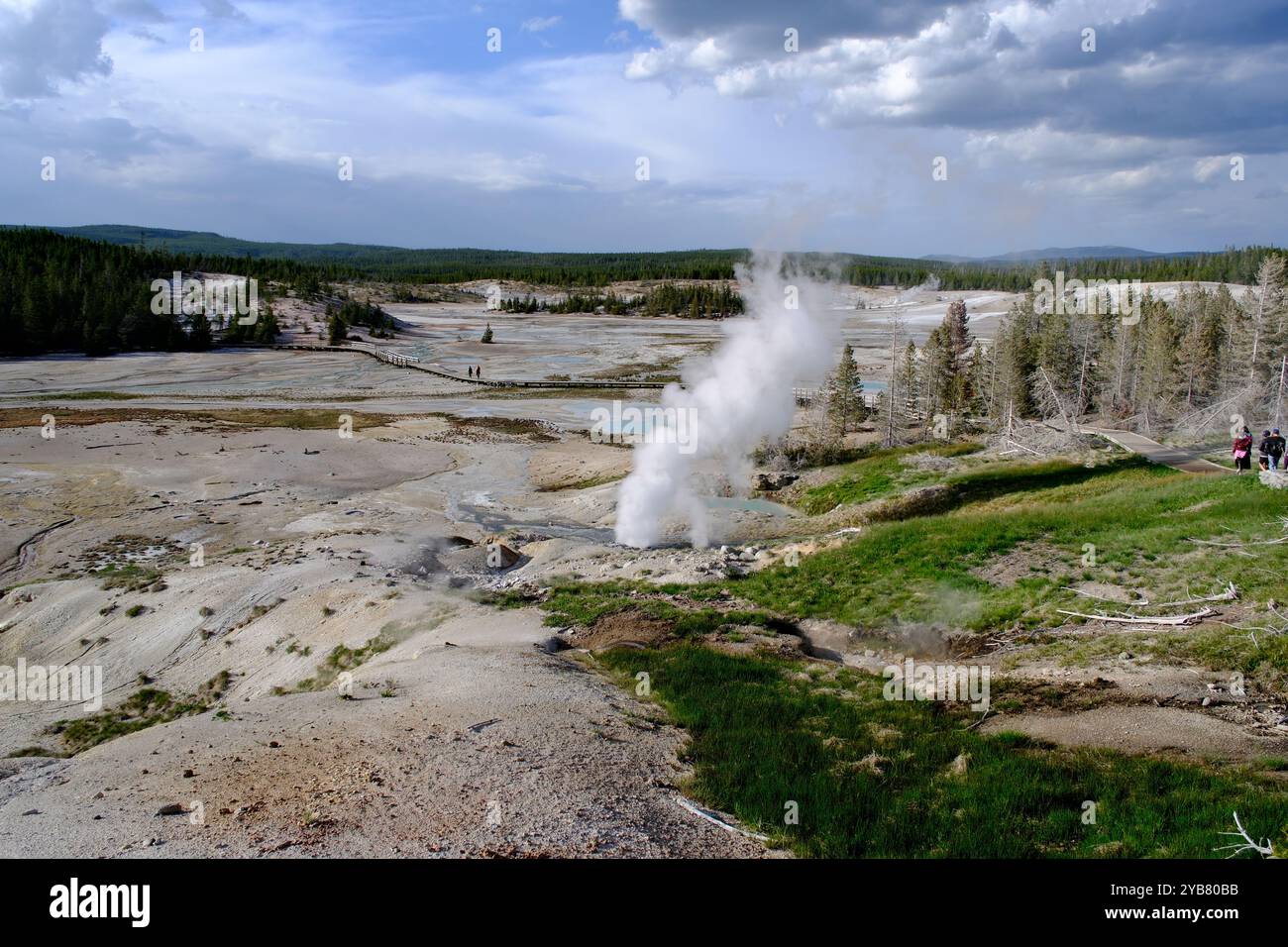fumarole al Norris Geyser Basin nel parco nazionale di Yellowstone. Paesaggio dell'area termale Foto Stock
