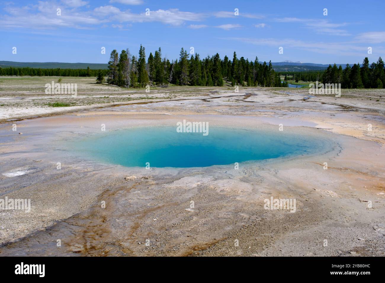 Splendida piscina termale blu, chiamata Opal Pool, nel Midway Geyser Basin del parco nazionale di Yellowstone, Wyoming, Stati Uniti Foto Stock