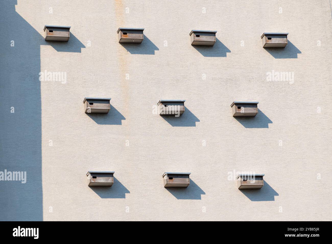 Rapide birdhouse sulla facciata dell'edificio. Protezione dell'ambiente. Foto Stock