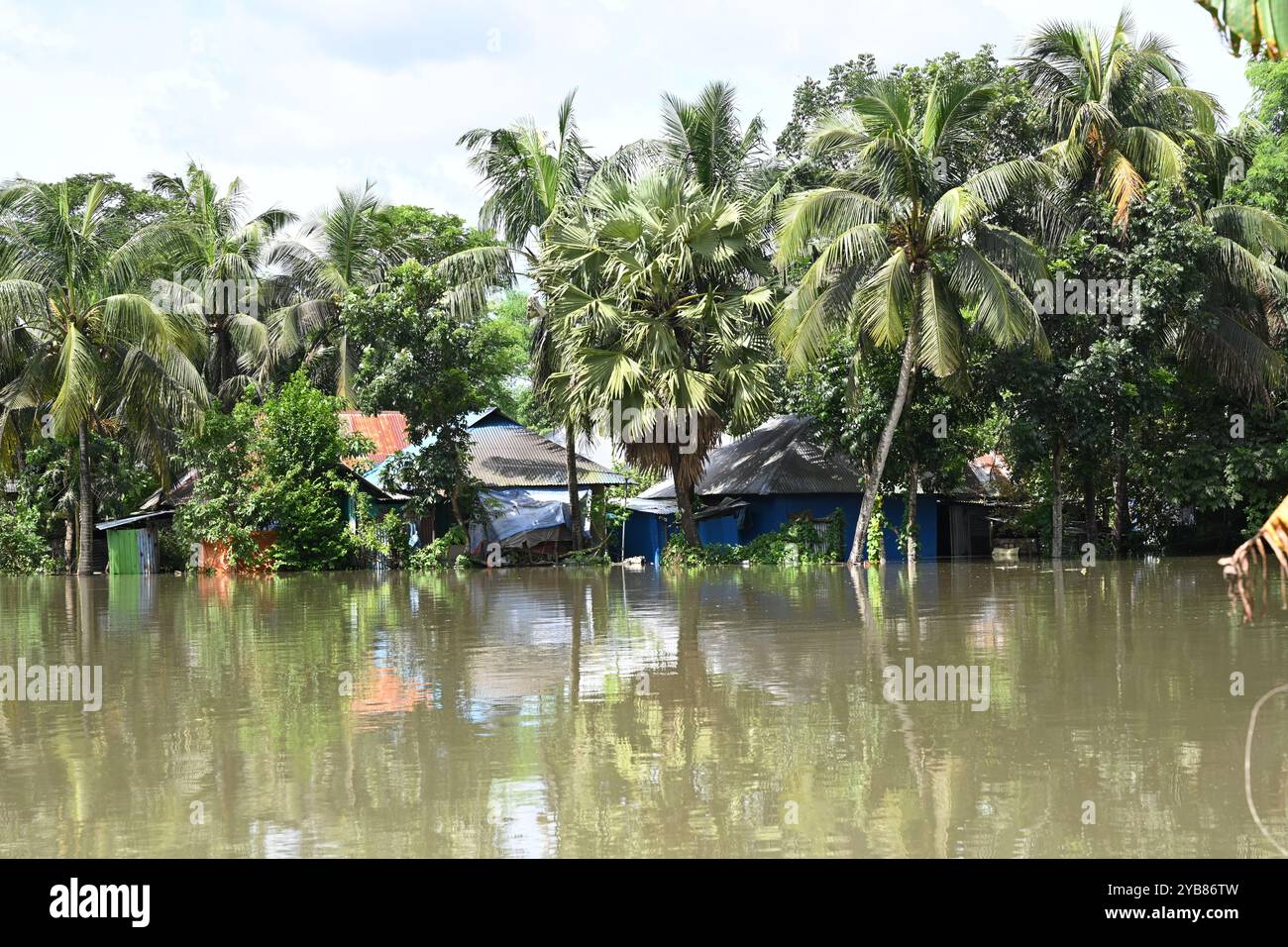 Le persone attraversano le acque alluvionali del distretto di Feni, Bangladesh, il 24 agosto 2024. Foto Stock