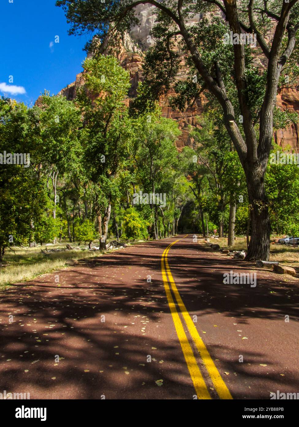 Strada di colore rosso, fiancheggiata da alberi con una vivace vegetazione verde alla base dello Zion Canyon nel Parco Nazionale di Zion, Utah. Foto Stock