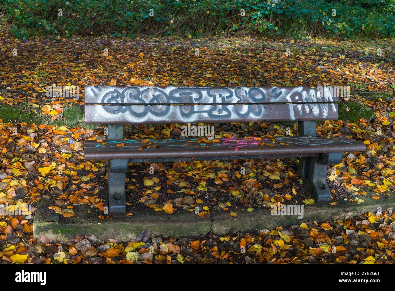 Panchina con graffiti di Edgbaston Reservoir a Birmingham in autunno sole che viene utilizzato per alimentare l'acqua alla rete dei canali Foto Stock