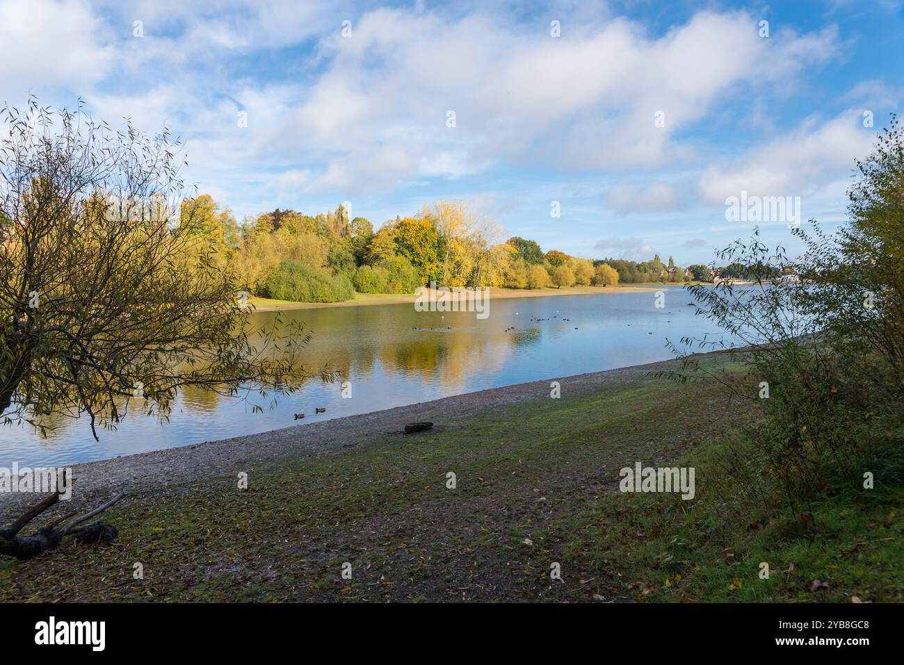 Edgbaston Reservoir a Birmingham in autunno, sole utilizzato per alimentare l'acqua alla rete dei canali Foto Stock