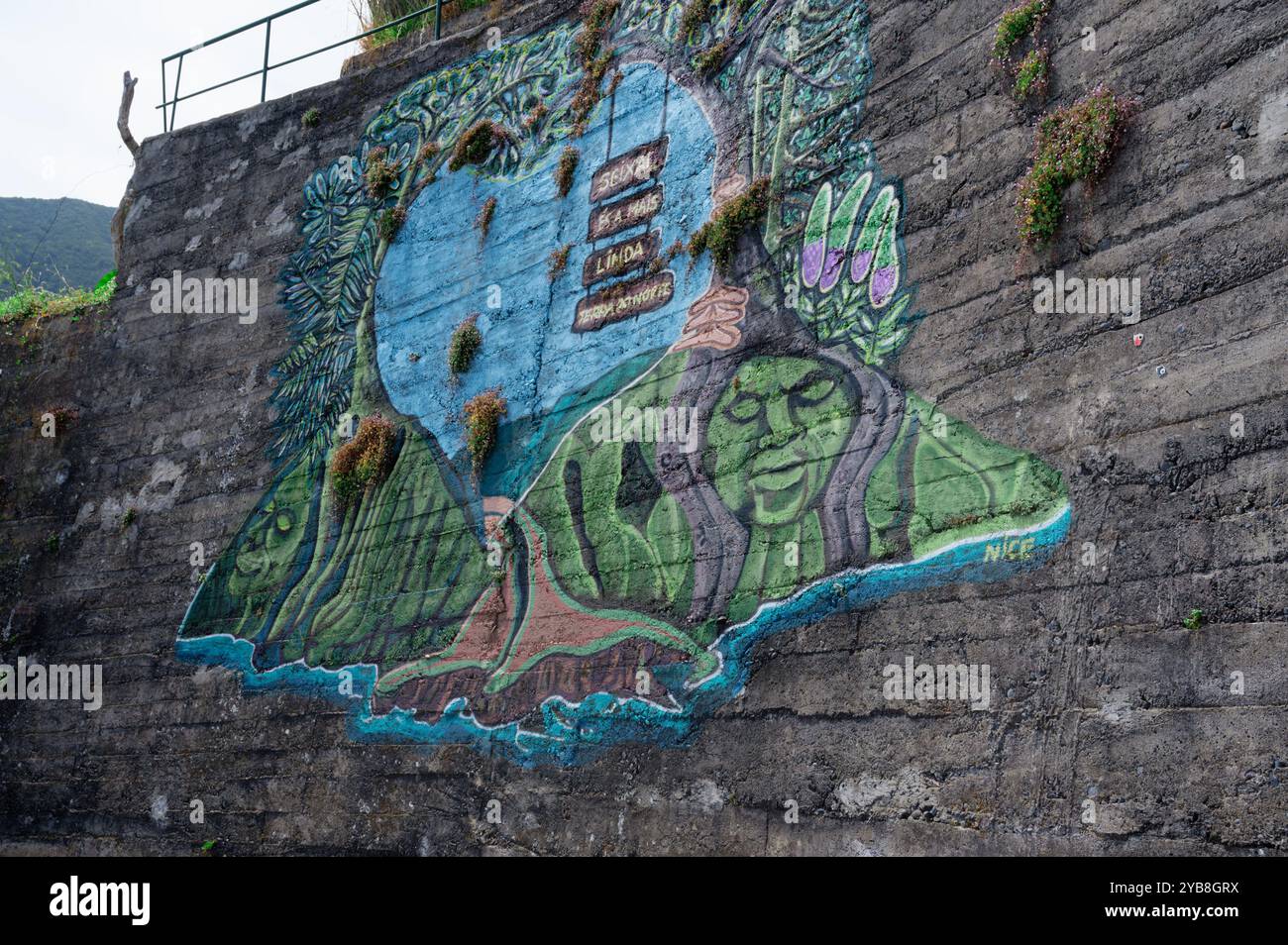Colorato murale di Street art raffigurante la natura e la cultura locale su un muro curvo in cemento a Seixal Foto Stock