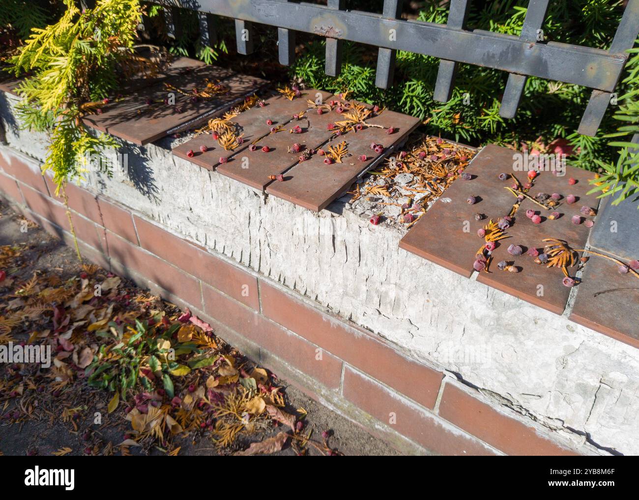 Facciata della recinzione danneggiata con piastrelle allentate Foto Stock