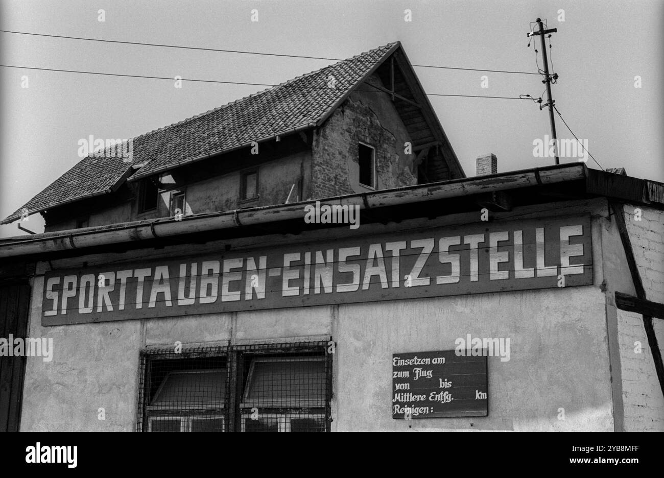 Wernigerode Deutschland, Wernigerode, 14.09.1991, Wernigerode, Sporttauben - Einsatzstelle, Â *** Wernigerode Germany, Wernigerode, 14 09 1991, Wernigerode, sito di distribuzione dei piccioni sportivi, Â Foto Stock