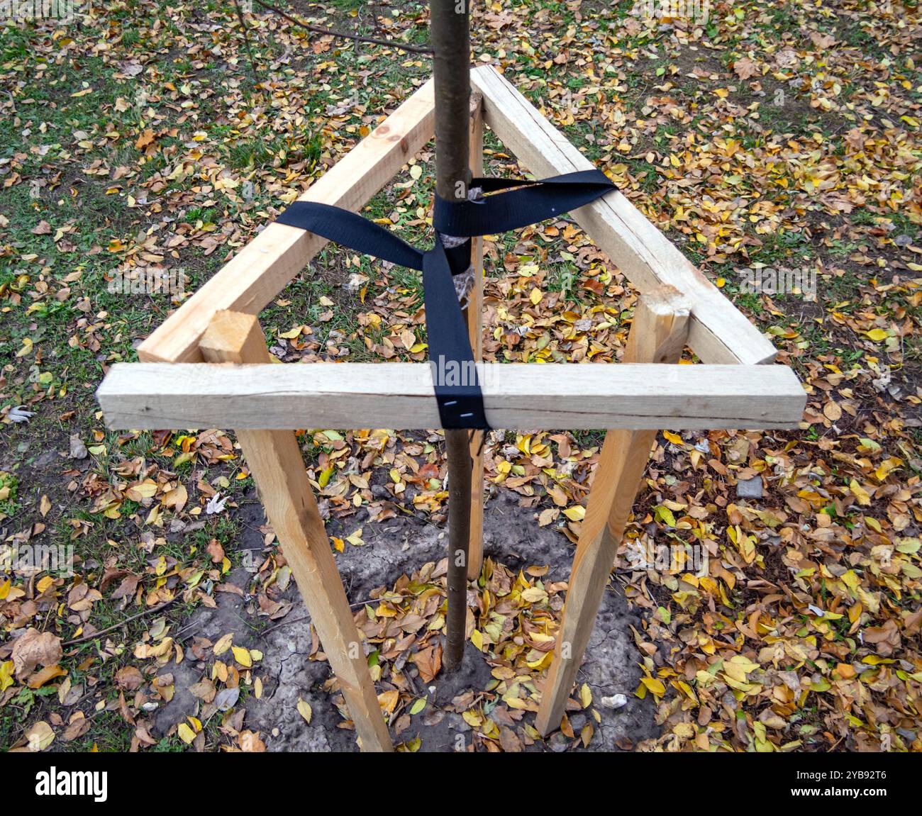 Una struttura fatta di blocchi di legno per sostenere un albero giovane piantato Foto Stock