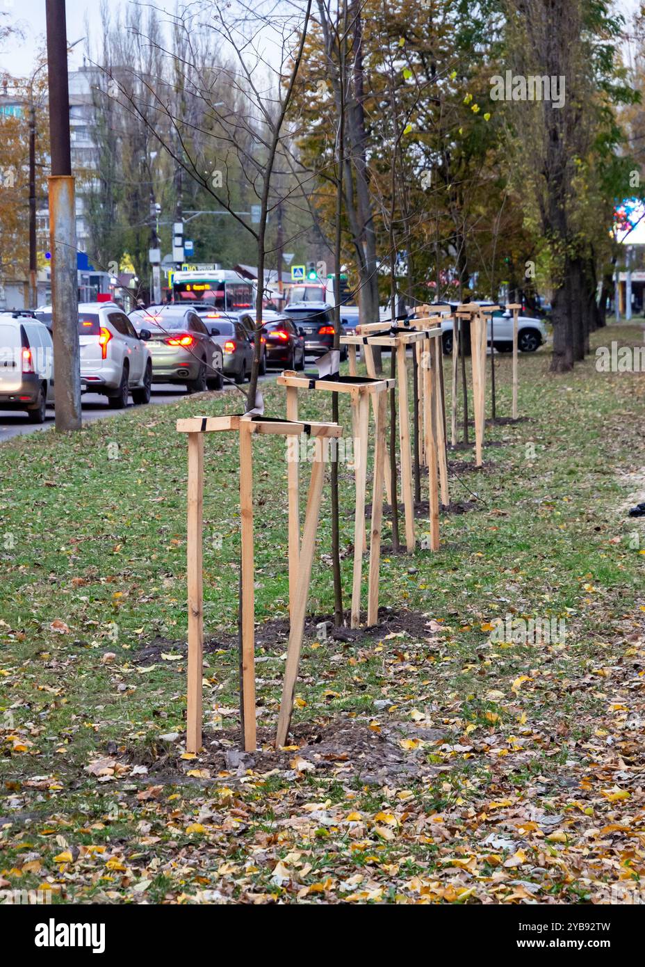 Russia, Voronezh - 01 novembre 2023: Piantare giovani alberi per la riverbero della città Foto Stock