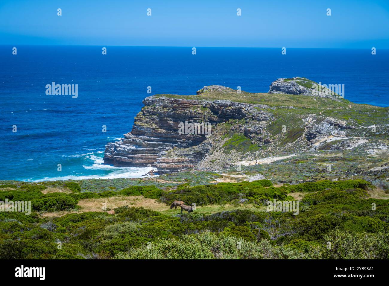 Il Capo di buona speranza si affaccia verso ovest, dalle scogliere costiere sopra Cape Point, affacciato sulla spiaggia di Dias, città del Capo, Sud Africa Foto Stock