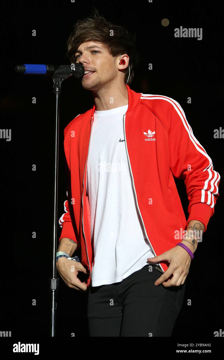 Louis Tomlinson di One Direction si esibisce in concerto al MetLife Stadium nel New Jersey. Foto Stock