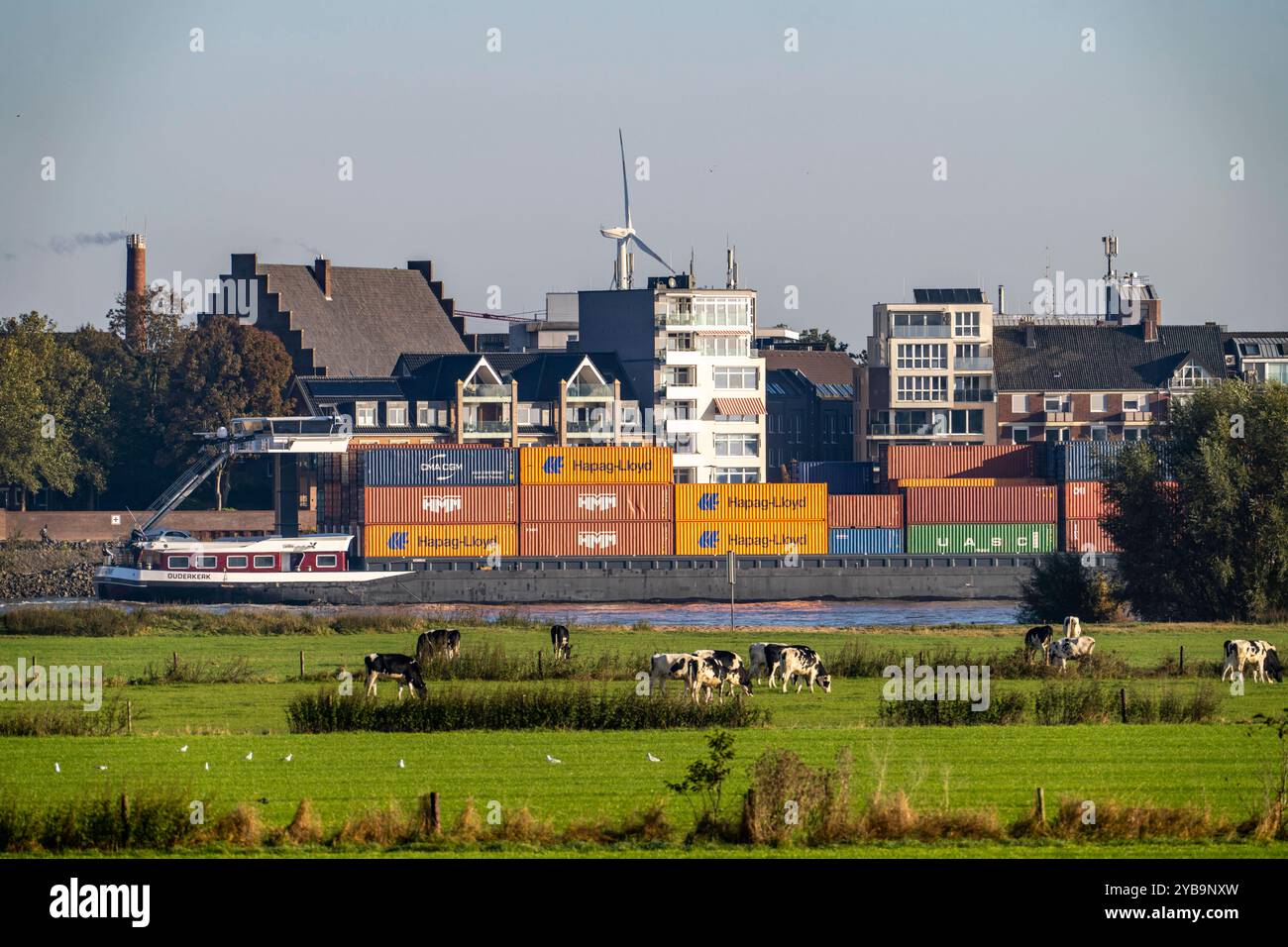 Skyline von Emmerich, am Niederrhein, linksrheinische Weiden, Kühe, Containerfrachtschiff, NRW, Deutschland, Emmerich *** Skyline di Emmerich, sul basso Reno, pascoli sulla riva sinistra del Reno, vacche, container cargo, NRW, Germania, Emmerich Foto Stock