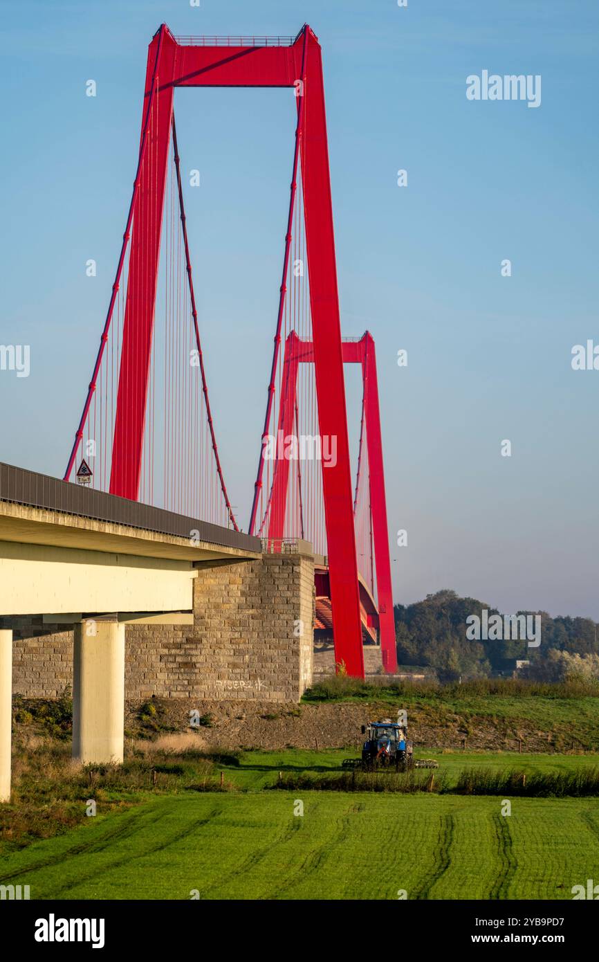 Die Rheinbrücke Emmerich, längste Hängebrücke B220, Bundesstraße Deutschlands, wird zur Zeit saniert, Brückenschäden, Landwirt mit Trecker bringt Gülle auf das Feld, Niederrhein, NRW, Deutschland, Rheinbrücke Emmerich *** il ponte sul Reno Emmerich, autostrada federale B220, ponte sospeso più lungo della Germania, è attualmente in fase di ristrutturazione, danni al ponte, agricoltore con trattore porta concime liquido sul campo, basso Reno, Germania, NRW Foto Stock