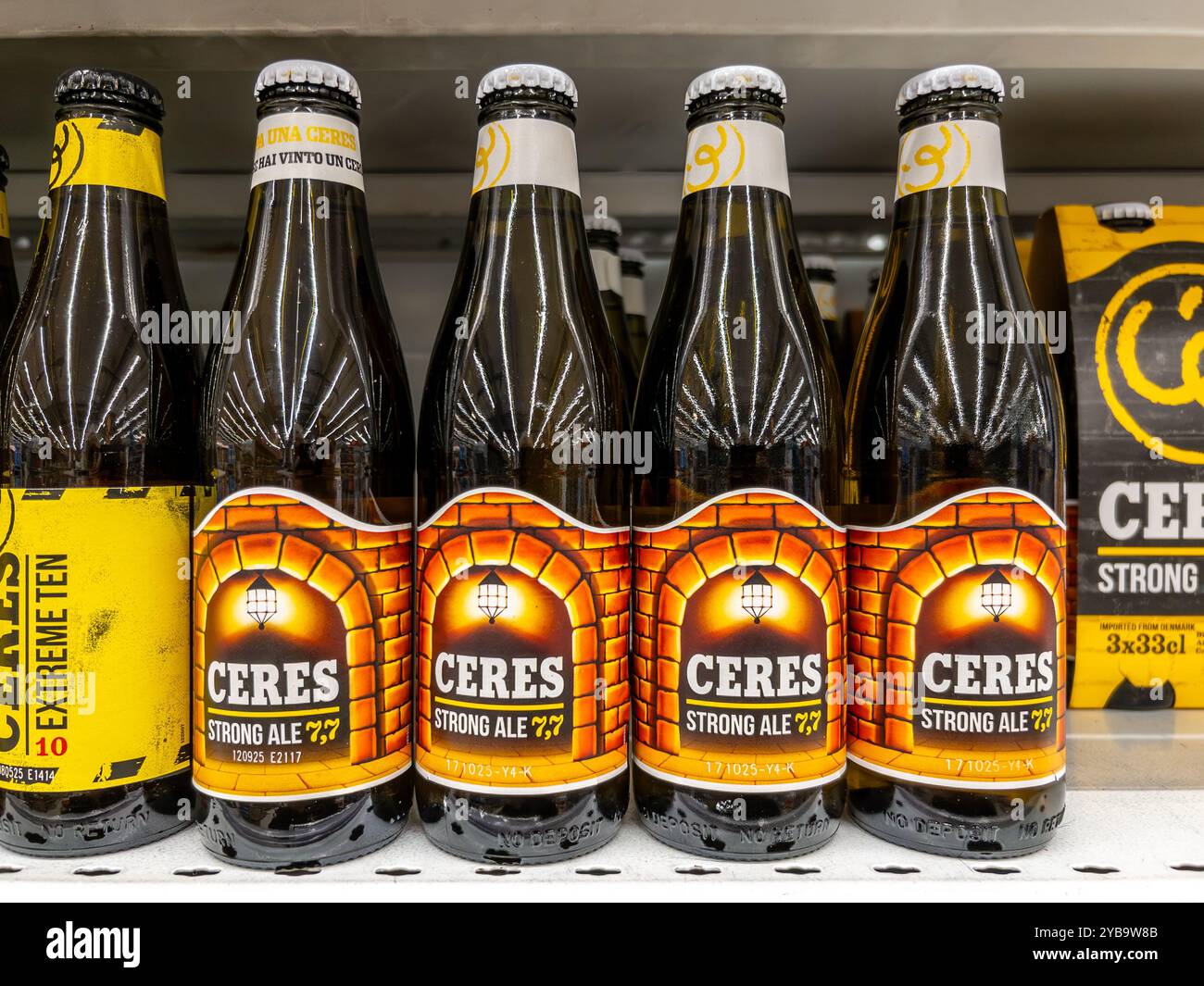 Italia - 17 ottobre 2024: Birra Ceres strong Ale 7,7 in bottiglie di vetro esposte sugli scaffali in vendita al supermercato italiano Foto Stock