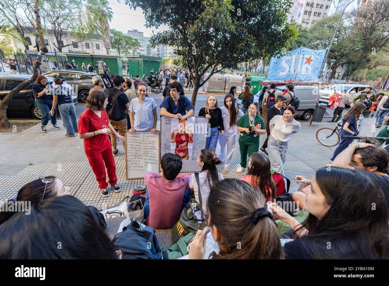 Buenos Aires, Argentina. 16 ottobre 2024. Gli assistenti didattici studiano i passi della Facoltà di Medicina come forma di protesta. Studenti, insegnanti e personale non docente hanno partecipato a una protesta chiedendo un aumento dello stipendio e un aumento del bilancio destinato alle università. La richiesta è stata approvata dal Congresso nazionale e sottoposta al veto dal presidente Milei, che vorrebbe effettuare un audit per indagare sull'utilizzo dei fondi inviati dal governo alle università. La proposta si trova di fronte a resistenze da parte delle autorità universitarie. (Immagine di credito: © Rosana Alvarez Mullner/SOPA Images vi Foto Stock