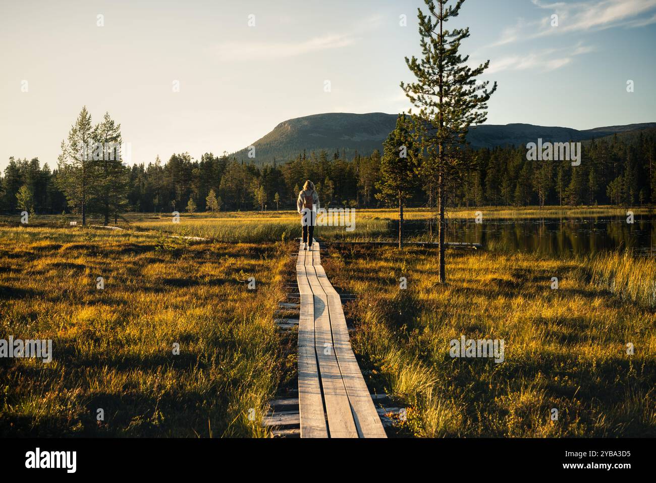 Escursionista che cammina lungo un sentiero attraverso la natura nordica vicino a un lago, con lo sfondo della montagna e la luce dorata che illumina il tranquillo paesaggio Foto Stock