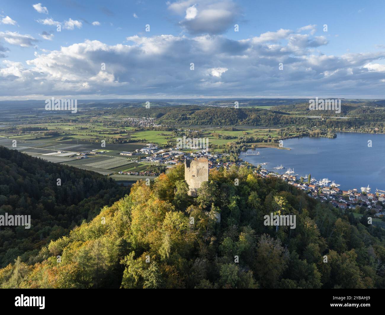 Vista aerea del lago di Costanza, Ueberlinger SEE, con le rovine di Altbodman sul Bodanrueck, sopra il villaggio di Bodman nella vegetazione autunnale, Bodma Foto Stock