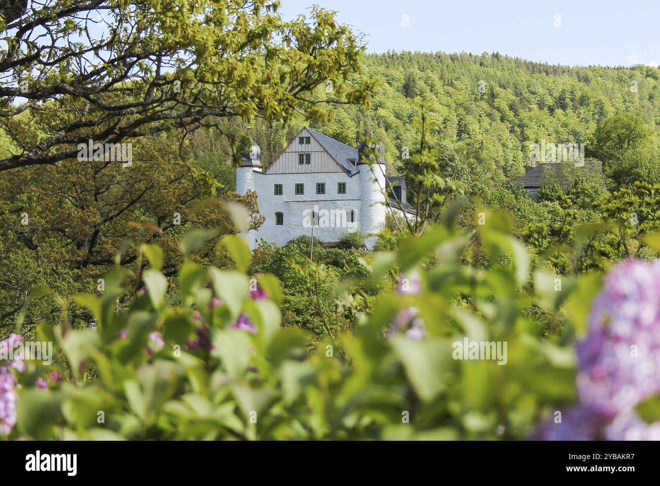 Castello di Schwarzburg in Turingia, castello di Schwarzburg in Turingia Foto Stock