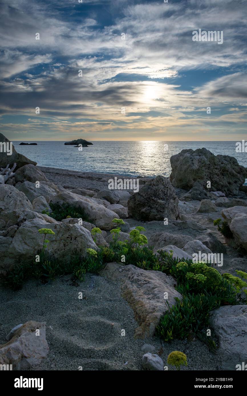 Piante che crescono su una spiaggia rocciosa con un bellissimo tramonto sul mare sullo sfondo. Ecologia, vacanze, ambiente. Foto Stock