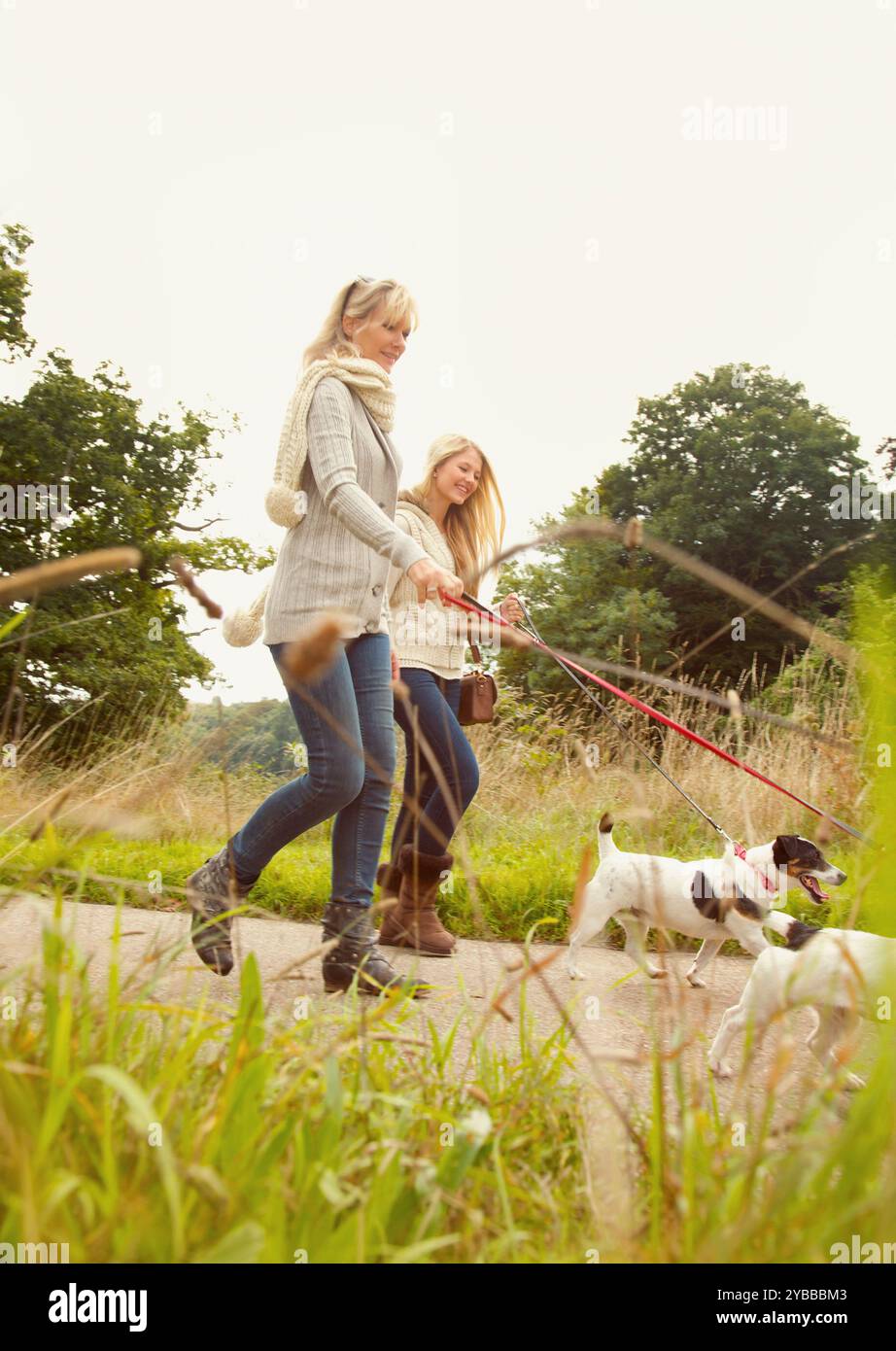 Madre e figlia cani a piedi Foto Stock
