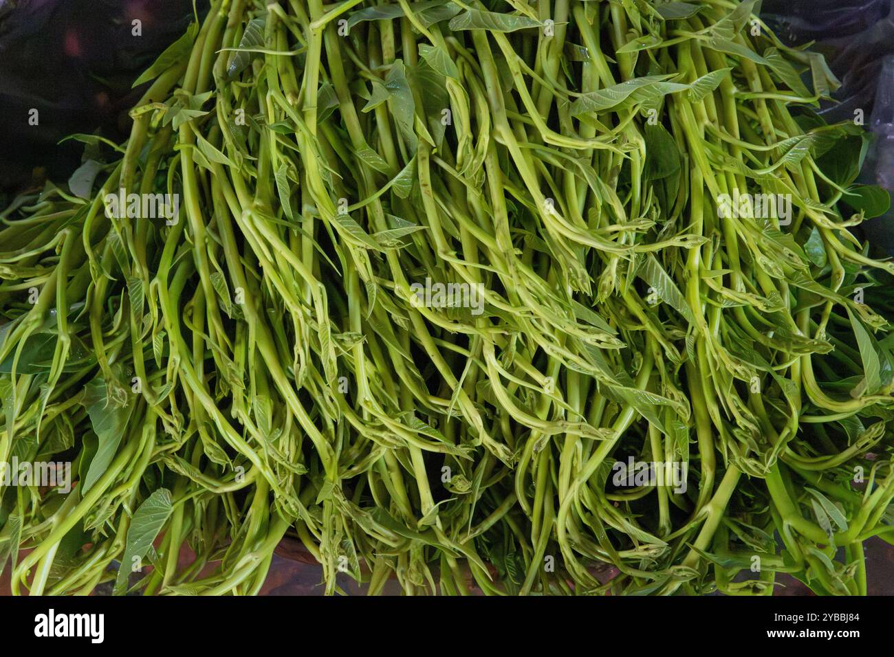 Spinaci di acqua dolce (kangkung, Ipomoea aquatica) in vendita al mercato di Boeng Keng Kang (BKK), Phnom Penh, Cambogia. Foto Stock