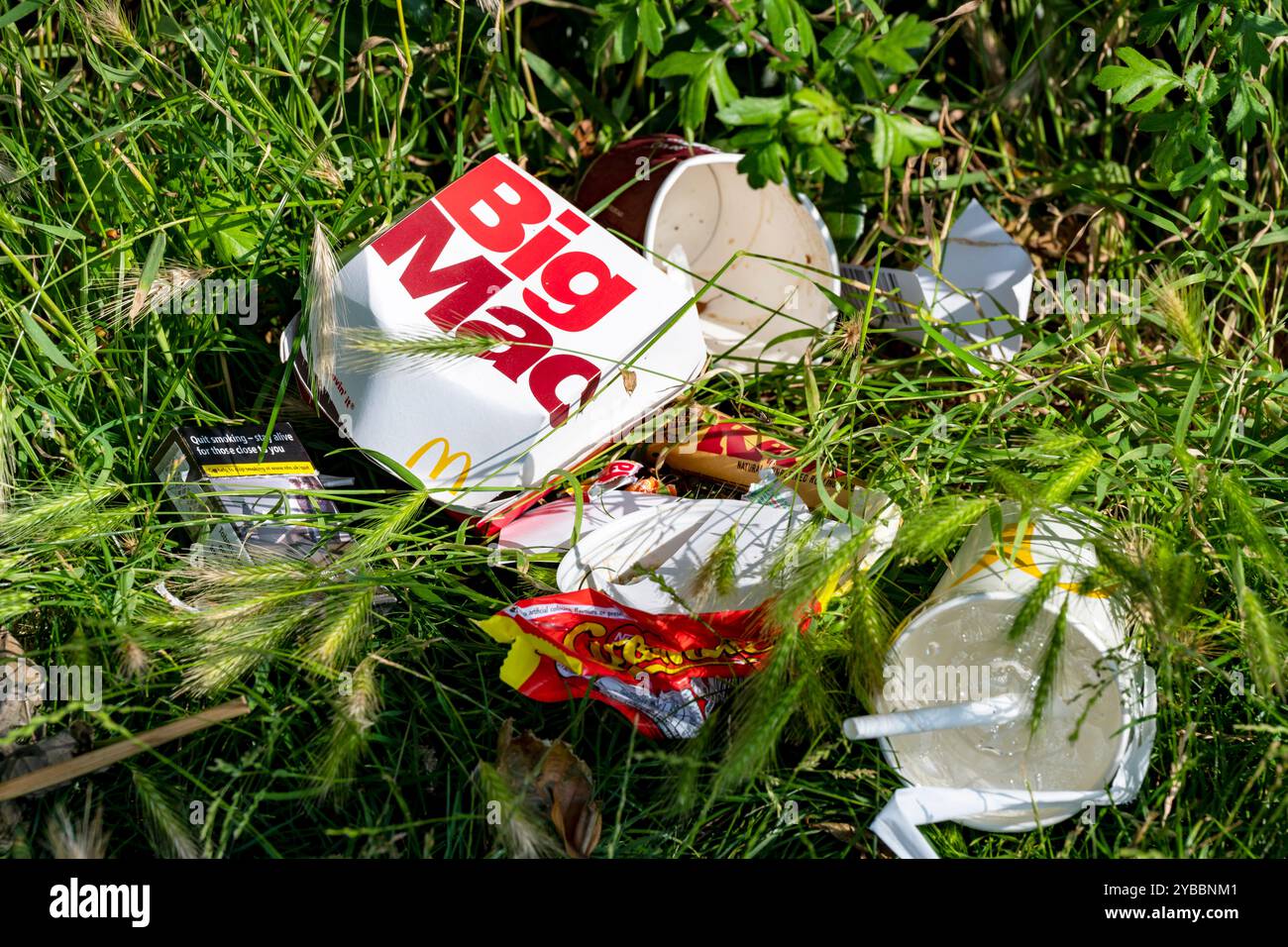Big Mac Meal e altre confezioni di cibo e rifiuti gettati accanto alla strada Foto Stock