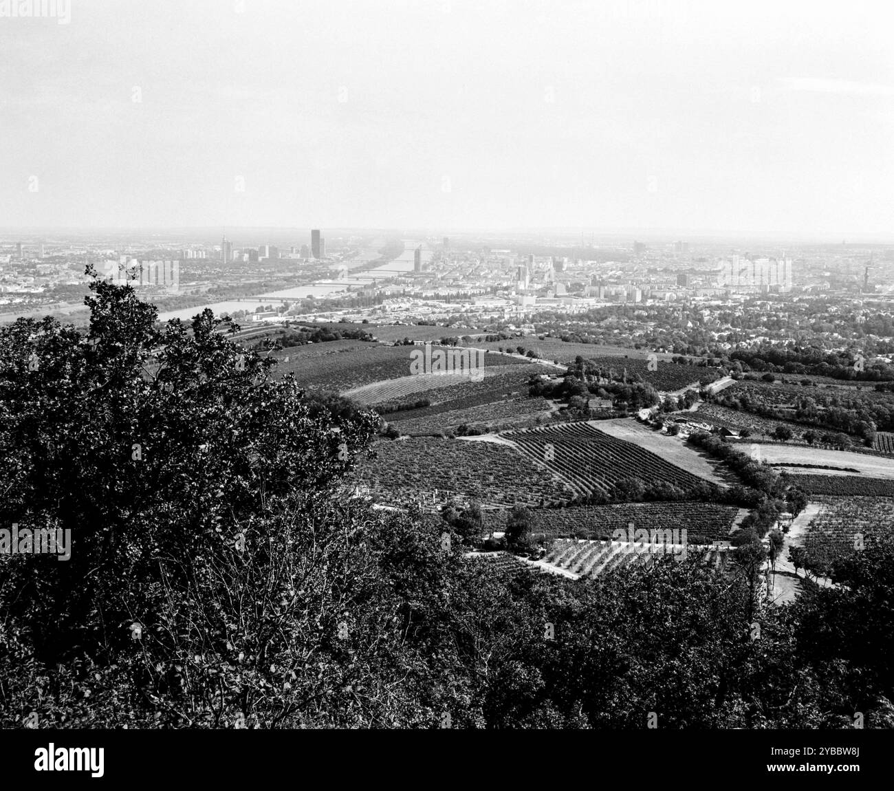 Punto panoramico a Kahlenberg nel 19° distretto della città di Vienna, parte della Wienerwald (foresta viennese), Vienna Austria. Foto Stock