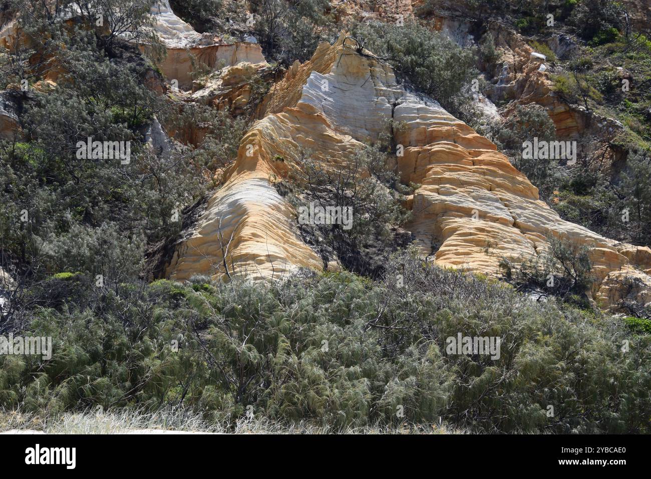 Pinnacoli di sabbia colorata isola di K'gari Foto Stock