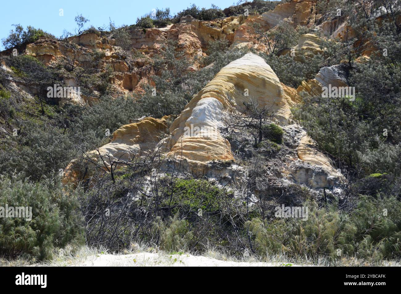 Pinnacoli di sabbia colorata isola di K'gari Foto Stock