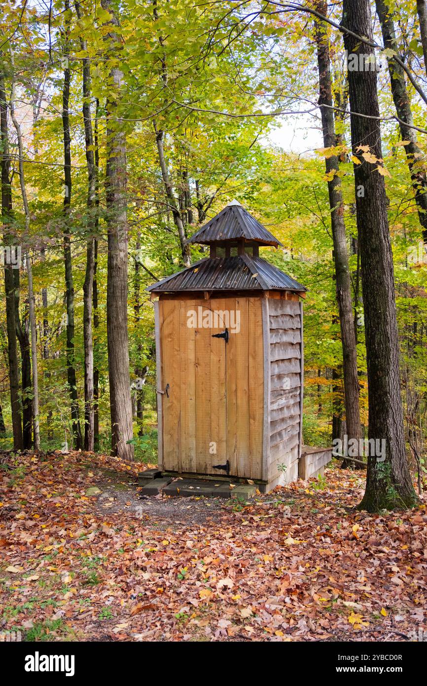 Un attico nel bosco alla Stone Martin Farm nei sobborghi di New Platz, New York, nell'autunno del 2024. Foto Stock