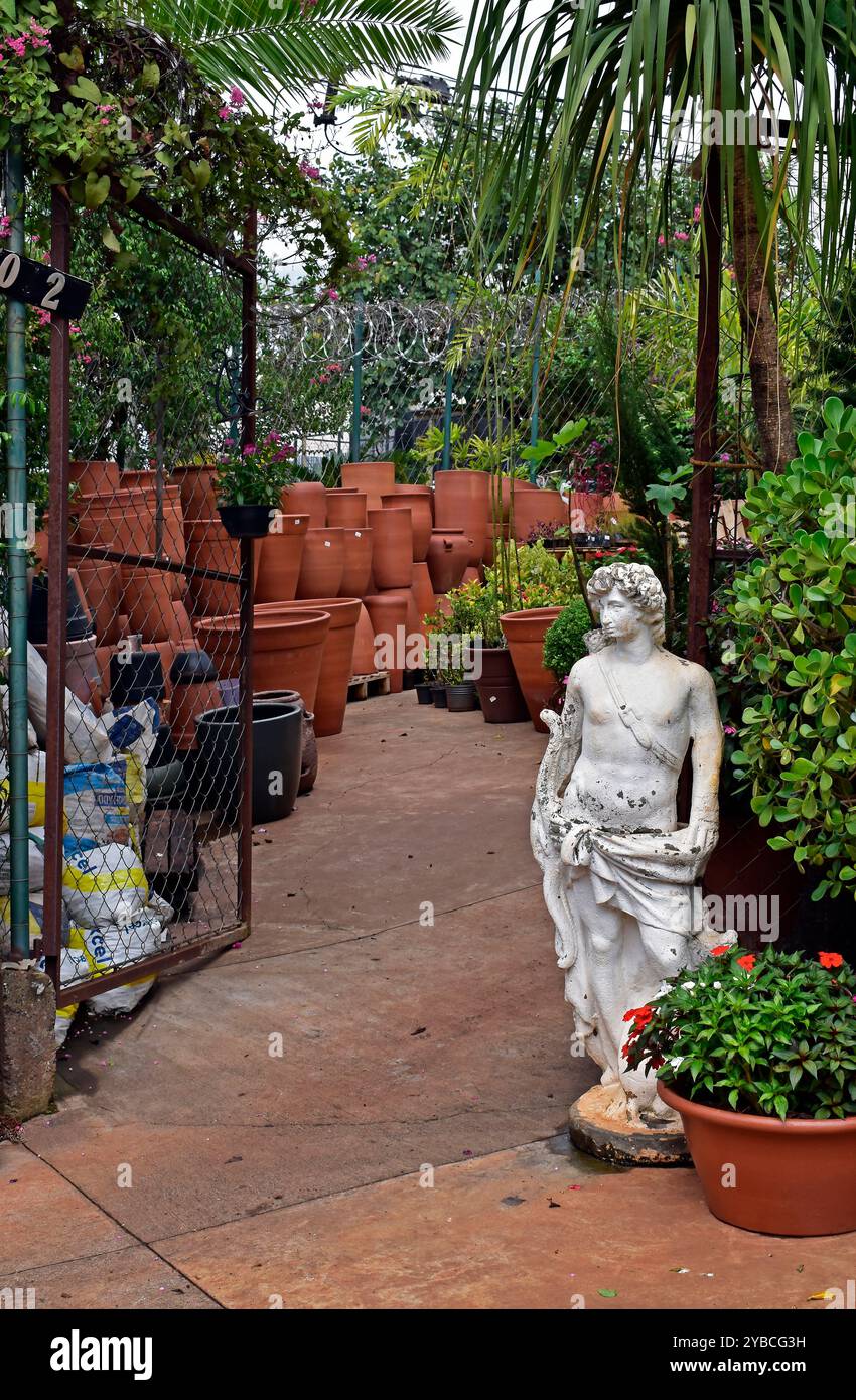 10 Migliori Vaso Testa Buddha In Italia - Foto 2