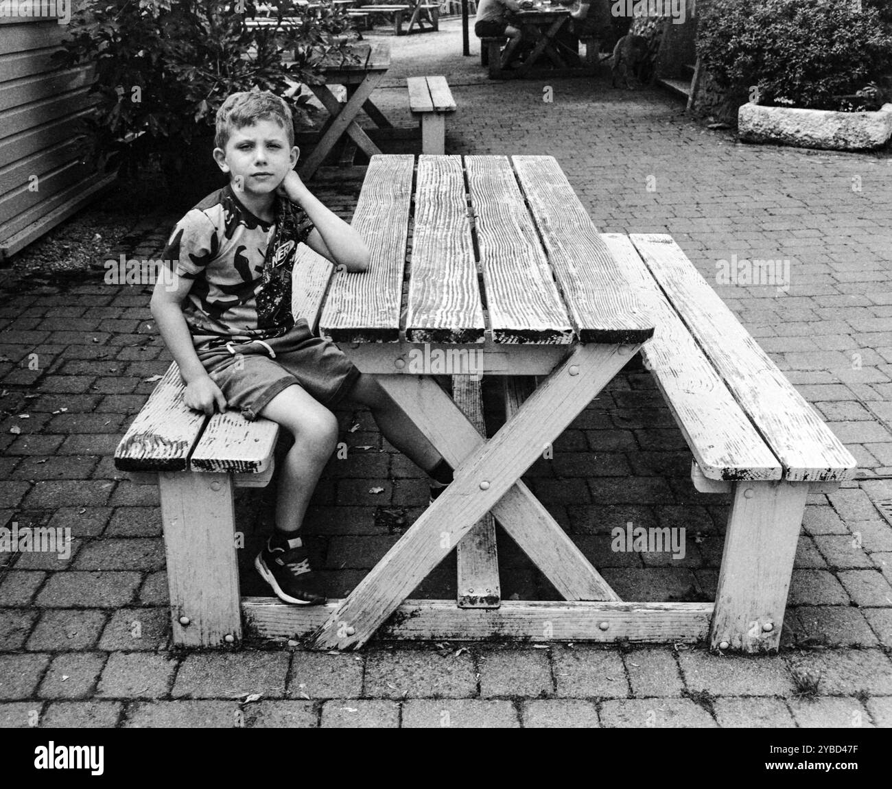 Dartington Cider press Cafe, Totnes Devon England. Regno Unito Foto Stock